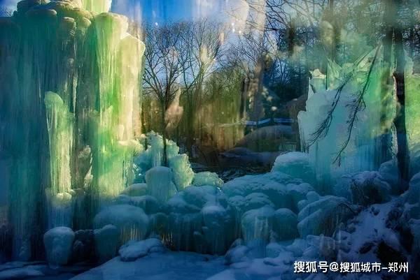 生活的滋味(随笔)
